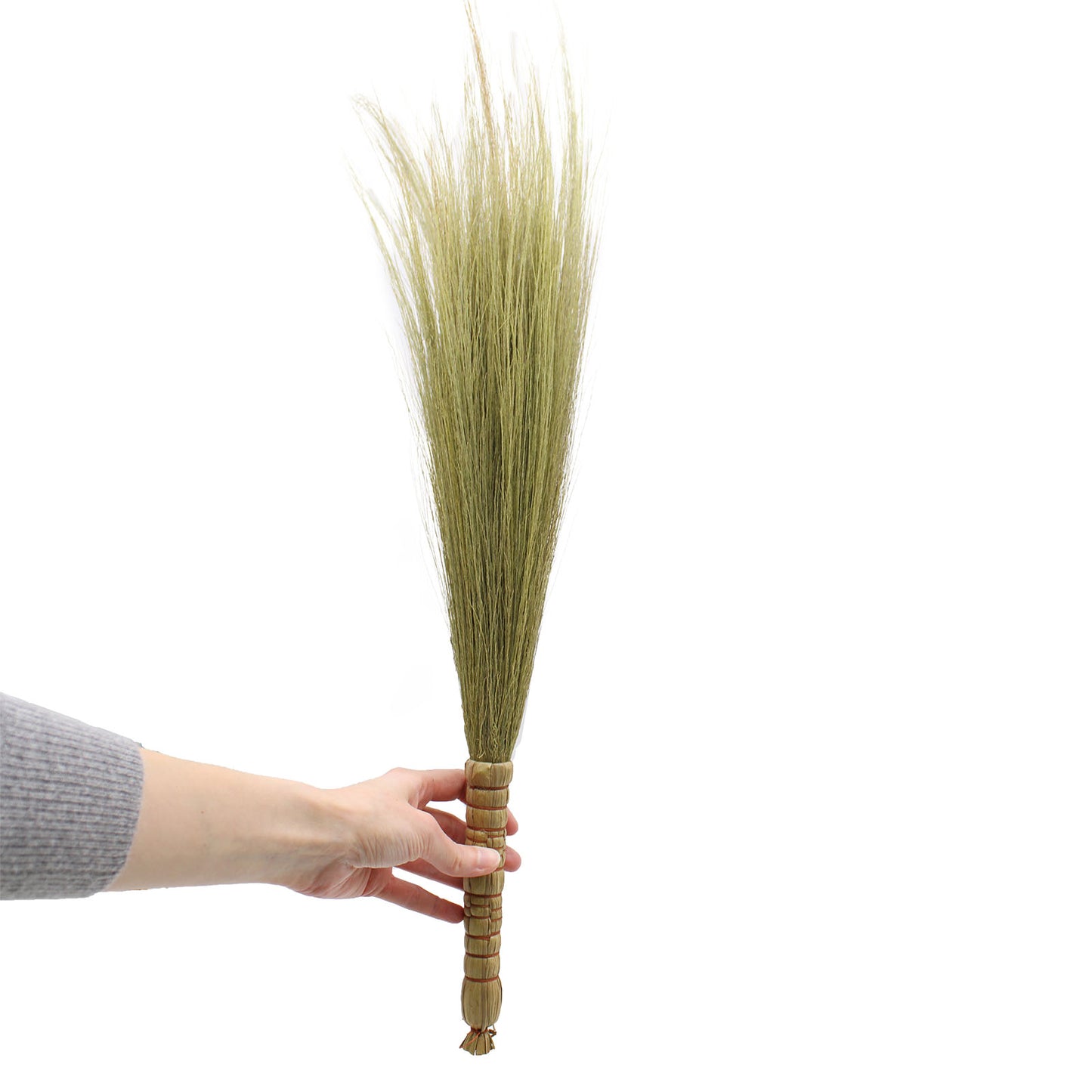 Pampas Broom - Natural