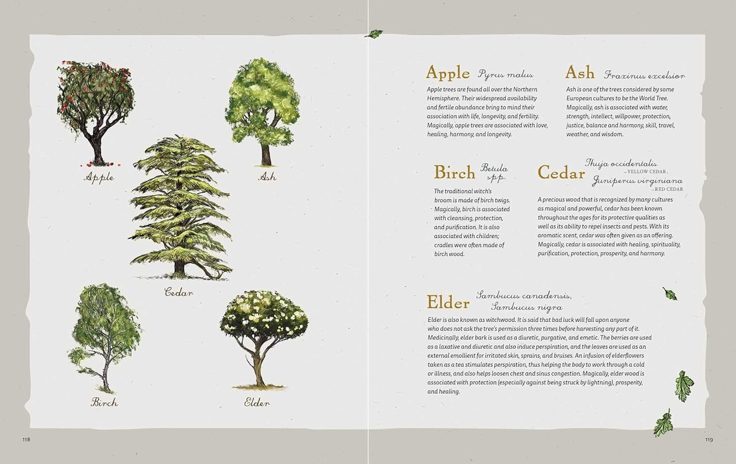 The Green Witch Illustrated: An Enchanting Immersion Into the Magic of Natural Witchcraft