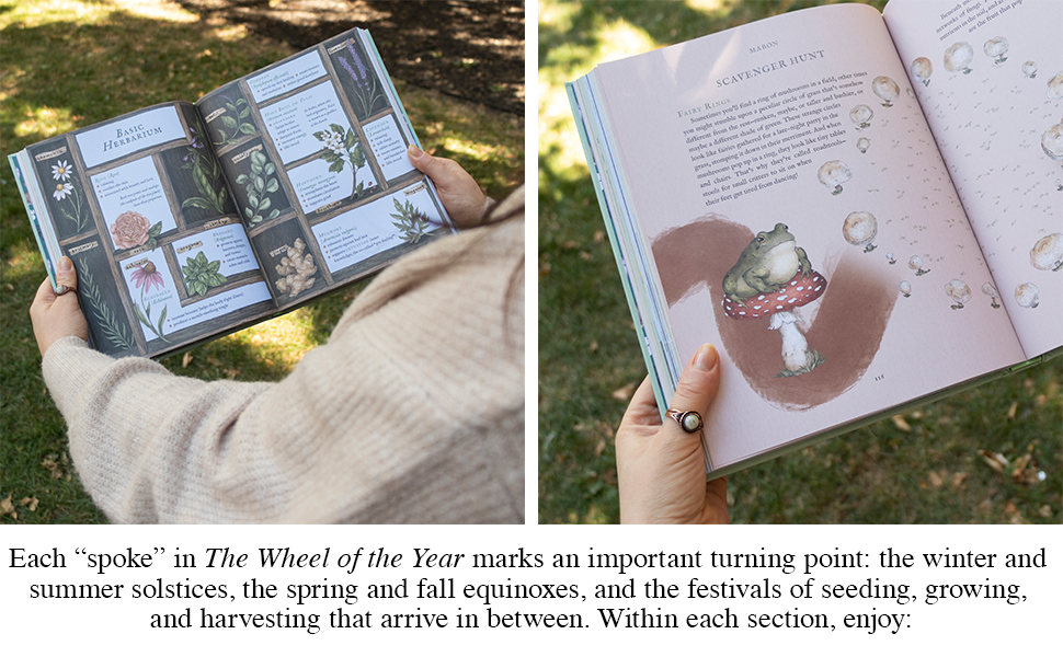 The Wheel of the Year: An Illustrated Guide to Nature's Rhythms