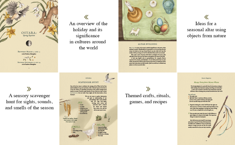 The Wheel of the Year: An Illustrated Guide to Nature's Rhythms