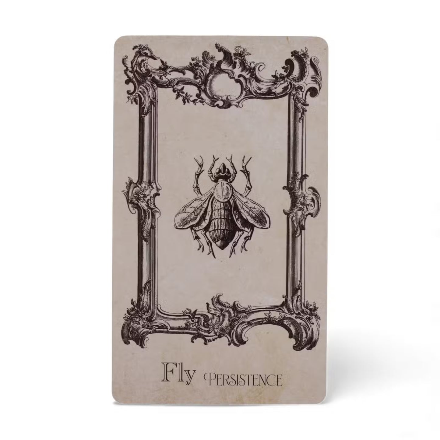 The Spellbook Oracle Cards Witchcraft Deck