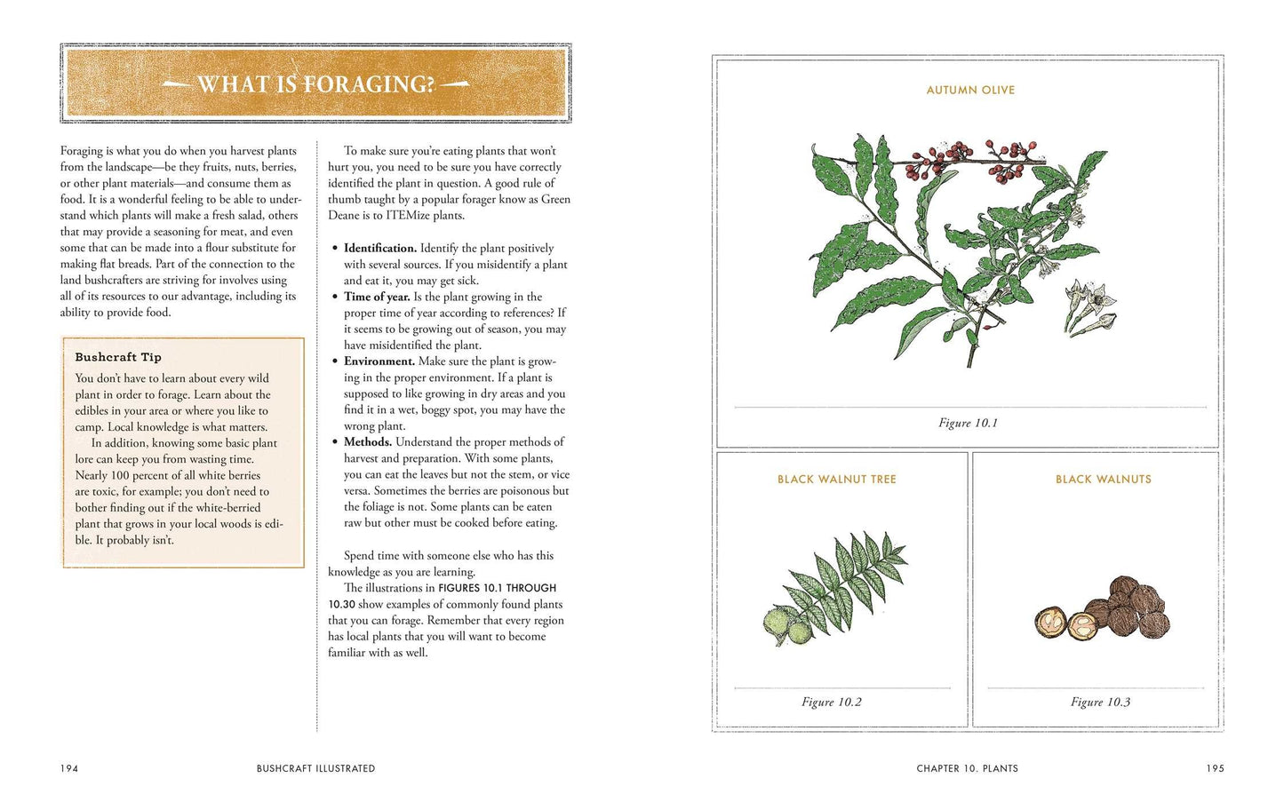 Bushcraft Illustrated
A Visual Guide
